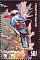 Blue-breasted Kingfisher Halcyon malimbica  1995 Birds of the world Sheet