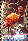 Scarlet Ibis Eudocimus ruber  1995 Birds of the world Sheet