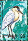 Capped Heron Pilherodius pileatus  1995 Birds of the world Sheet