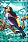 Paradise Tanager Tangara chilensis  1995 Birds of the world Sheet
