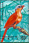 Black-bellied Cuckoo Piaya melanogaster  1995 Birds of the world Sheet