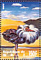 Ruff Calidris pugnax  1995 Birds of the world Sheet