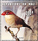 Common Waxbill Estrilda astrild  1996 Birds Sheet
