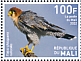 Red-necked Falcon Falco chicquera  2022 Birds of Mali Sheet
