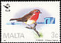 European Robin Erithacus rubecula  1987 Malta Ornithological Society 