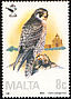 Peregrine Falcon Falco peregrinus  1987 Malta Ornithological Society 