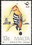 Eurasian Hoopoe Upupa epops  1987 Malta Ornithological Society 