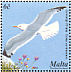 Yellow-legged Gull Larus michahellis  2001 Birds of Malta Sheet
