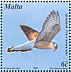 Common Kestrel Falco tinnunculus  2001 Birds of Malta Sheet