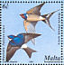 Common House Martin Delichon urbicum  2001 Birds of Malta Sheet