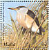 Little Bittern Ixobrychus minutus  2001 Birds of Malta Sheet