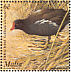 Common Moorhen Gallinula chloropus  2001 Birds of Malta Sheet