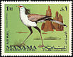 Secretarybird Sagittarius serpentarius  1969 Birds 