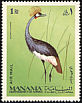 Grey Crowned Crane Balearica regulorum