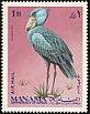 Shoebill Balaeniceps rex  1969 Birds 