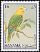 Yellow-headed Amazon Amazona oratrix  1969 Birds 