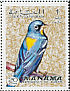 Northern Parula Setophaga americana  1970 Birds 