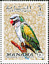 Lord Derby's Parakeet Psittacula derbiana  1970 Birds 