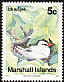 Red-tailed Tropicbird Phaethon rubricauda  1990 Birds 
