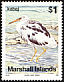 Pacific Reef Heron Egretta sacra  1990 Birds 