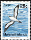 Wedge-tailed Shearwater Ardenna pacifica