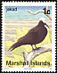 Black Noddy Anous minutus  1991 Birds 