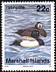 Greater Scaup Aythya marila  1992 Birds 