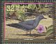 Blue Noddy Anous ceruleus  1996 Birds 