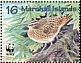 Bristle-thighed Curlew Numenius tahitiensis  1997 WWF 