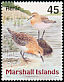 Red-necked Stint Calidris ruficollis  1999 Birds of the Marshall Islands 