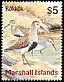 Dunlin Calidris alpina  1999 Birds of the Marshall Islands 