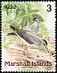 Grey-tailed Tattler Tringa brevipes  1999 Birds of the Marshall Islands 