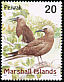 Brown Noddy Anous stolidus  1999 Birds of the Marshall Islands 