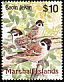 Eurasian Tree Sparrow Passer montanus  1999 Birds of the Marshall Islands 