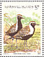 Pacific Golden Plover Pluvialis fulva  2002 Tropical island birds Sheet