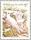 White Tern Gygis alba  2002 Tropical island birds Sheet