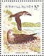 Kermadec Petrel Pterodroma neglecta  2002 Tropical island birds Sheet