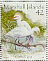 Western Cattle Egret  Bubulcus ibis