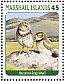 Burrowing Owl Athene cunicularia  2013 Birds of the world I Sheet