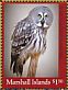 Great Grey Owl Strix nebulosa  2018 Owls Sheet