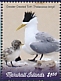 Greater Crested Tern Thalasseus bergii  2019 Birds Sheet