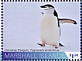 Chinstrap Penguin Pygoscelis antarcticus  2020 Antarctic wildlife 6v sheet