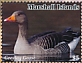 Greylag Goose Anser anser