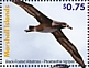 Black-footed Albatross Phoebastria nigripes  2021 Birds of the Marshall Islands Sheet