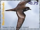 Bulwer's Petrel Bulweria bulwerii  2021 Birds of the Marshall Islands Sheet