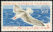 Slender-billed Gull Chroicocephalus genei  1961 Definitives 