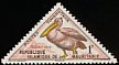 Great White Pelican Pelecanus onocrotalus  1963 Postage due, birds 