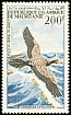 Reed Cormorant Microcarbo africanus  1964 Birds 