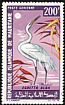 Great Egret Ardea alba  1967 Birds 