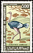 Common Ostrich Struthio camelus  1967 Birds 